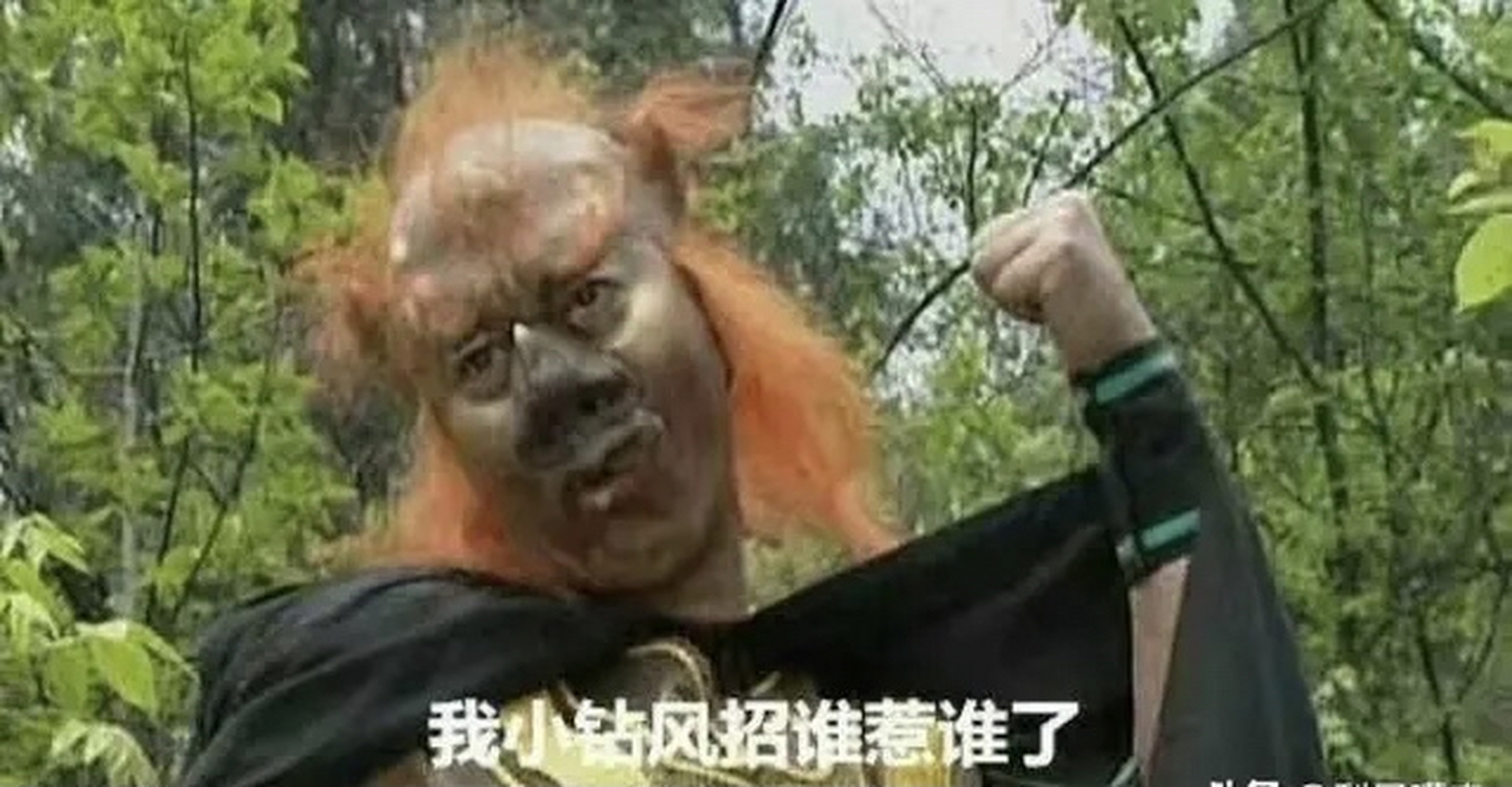 这个狗狗就是这是西游记小钻风真身吧[笑哭]太搞笑了!