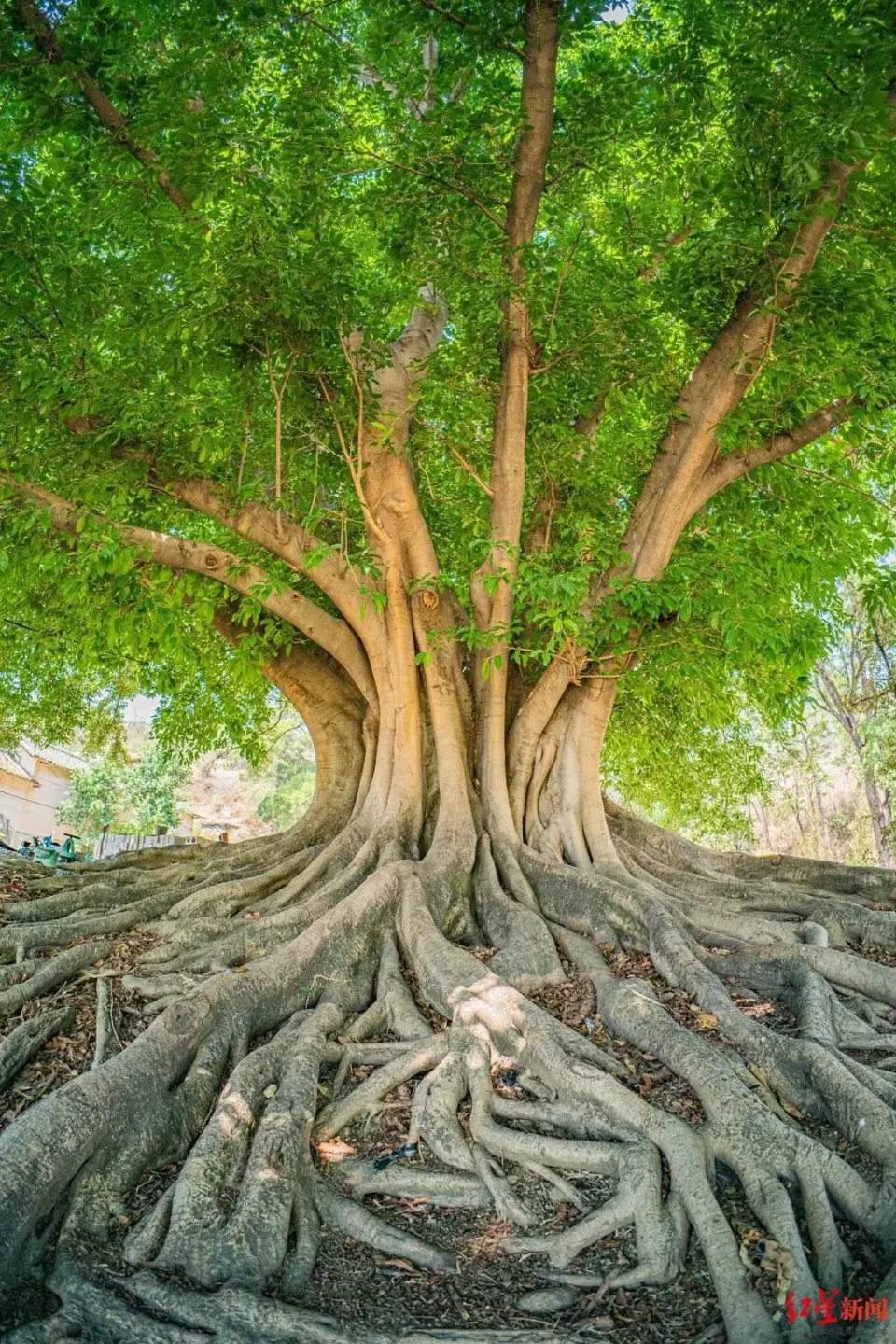 教育就是,你的好伙伴,我也当成好朋友