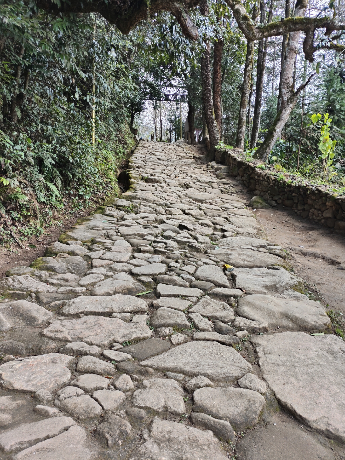 林间石路  山林间的石径,曲曲折折,仿若大地的皱纹,深深刻画着岁月的