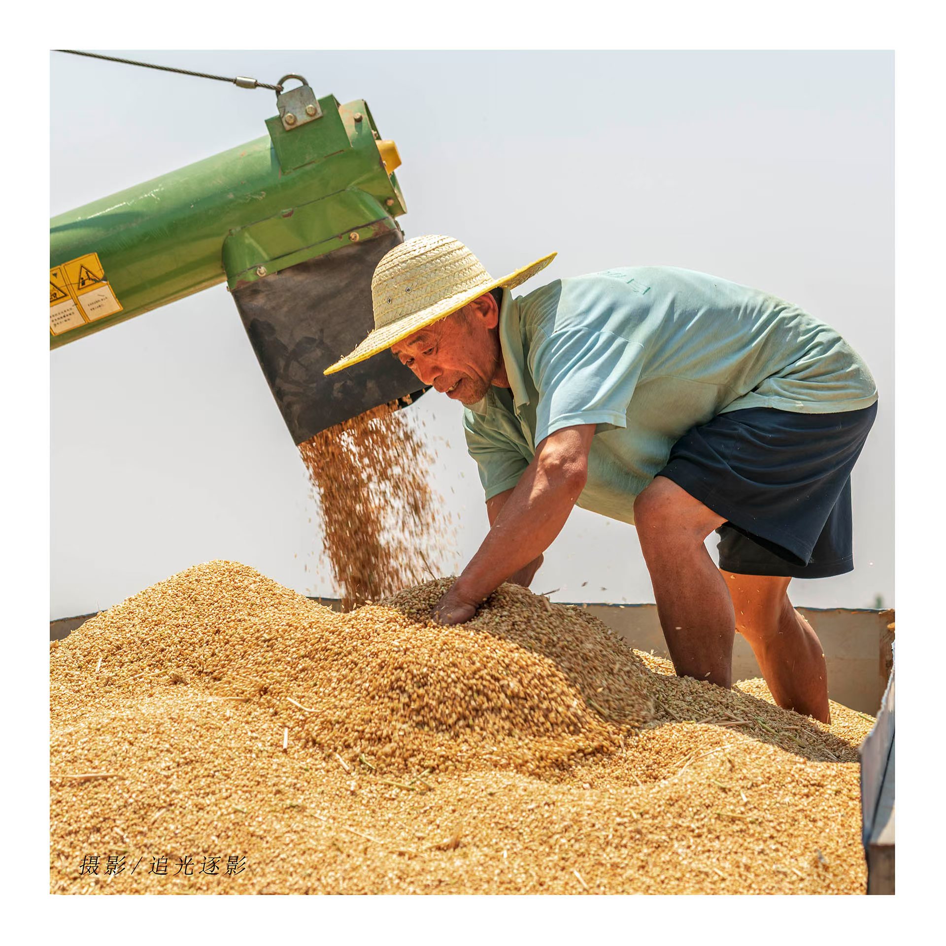 麦浪随风起伏,似在诉说丰收的欢畅