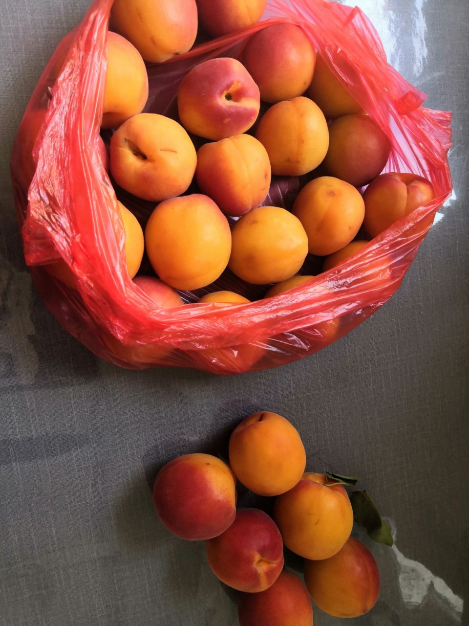 又到黄杏儿飘香季