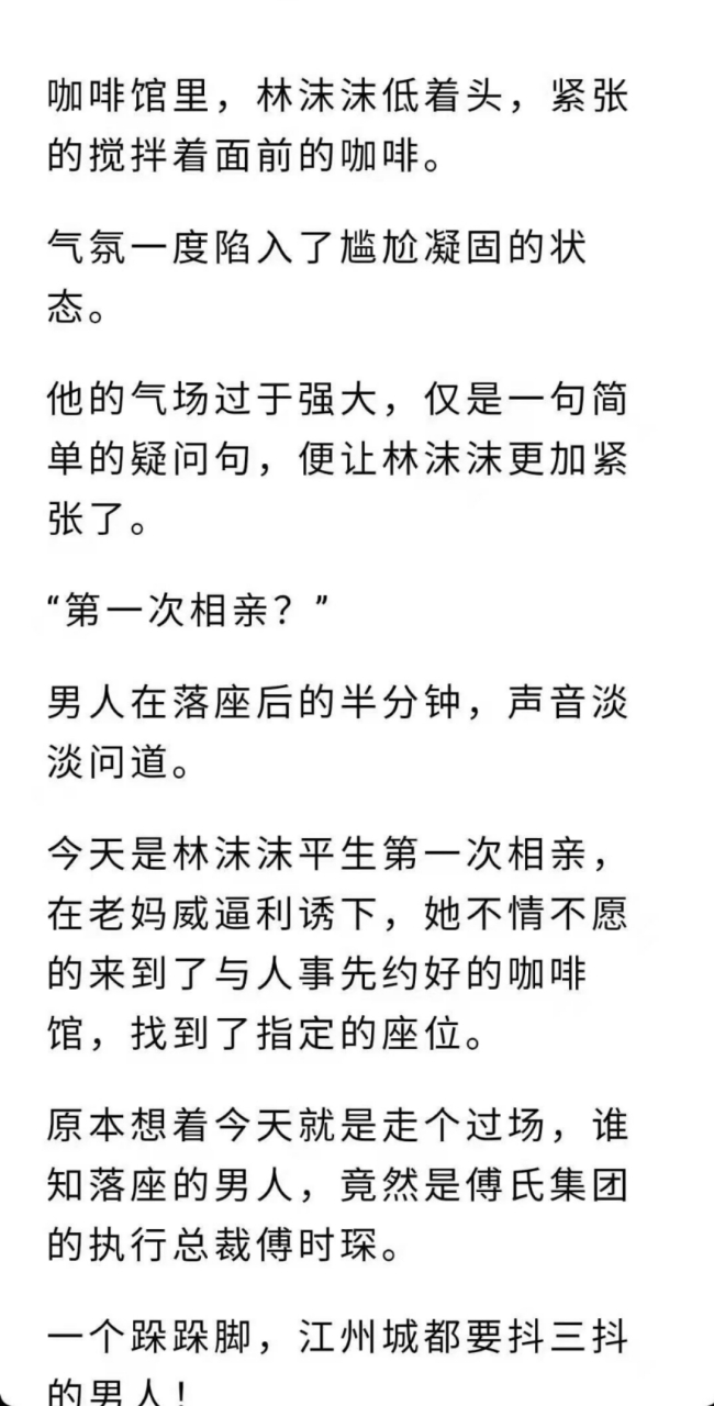 《林沫沫傅时琛》林沫沫傅时琛相亲