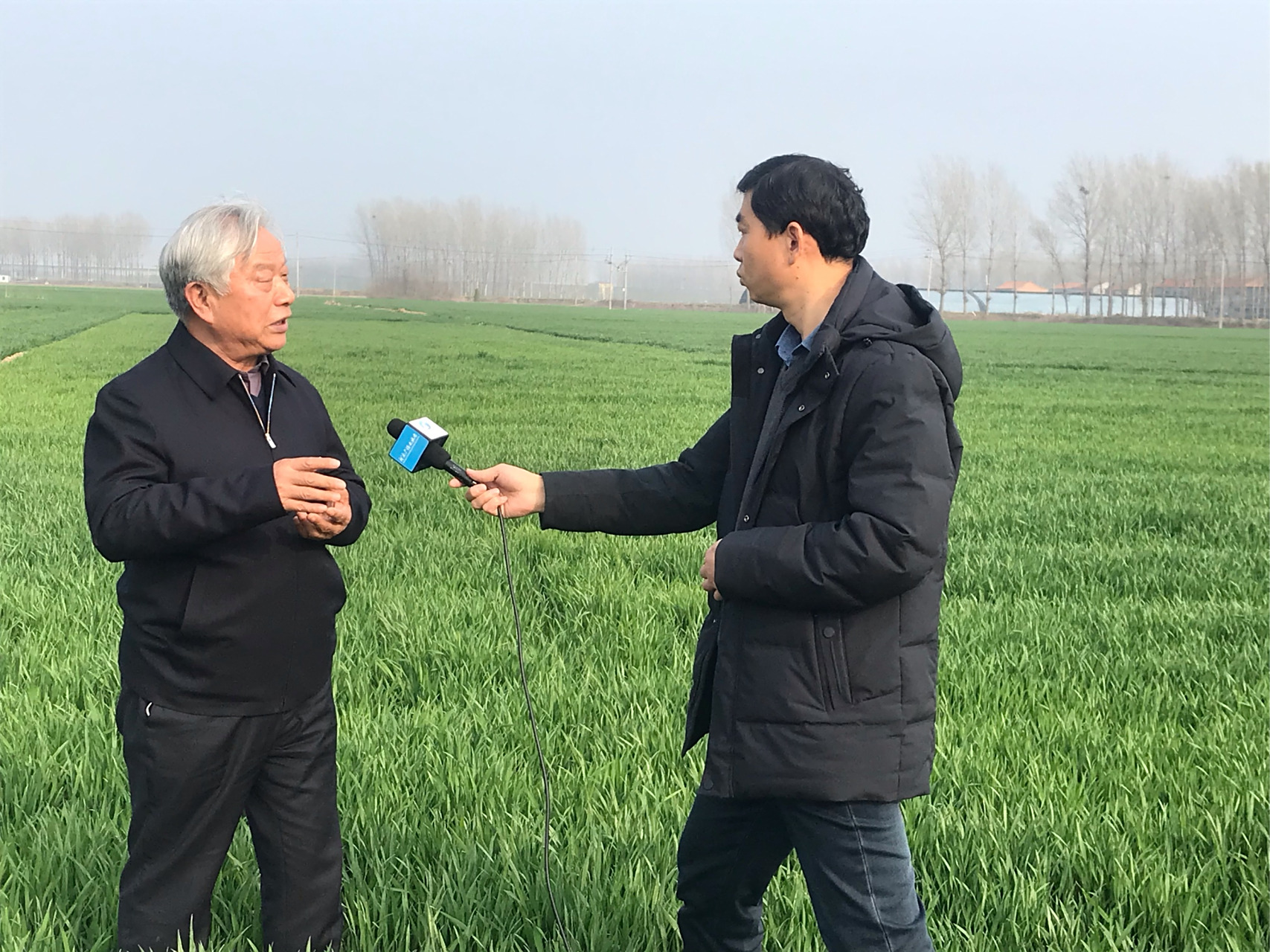 谢谢河南农业大学教授郭天财郭教授来街坊农业小麦种植基地就小麦后期