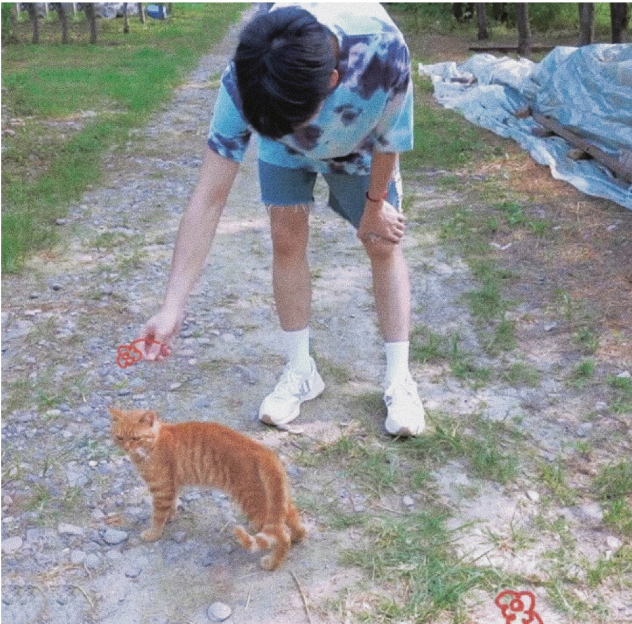 张真源# 夏天 猫咪 少年
