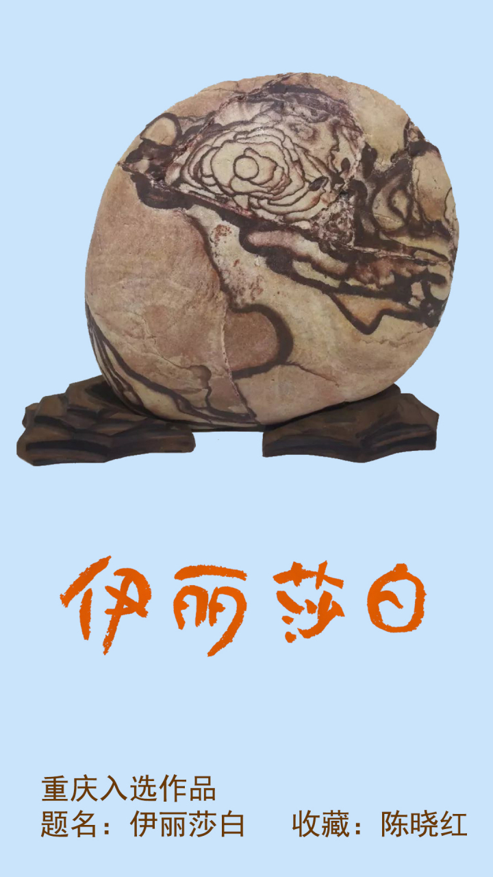 赏石日墨《伊丽莎白》长江芙蓉石