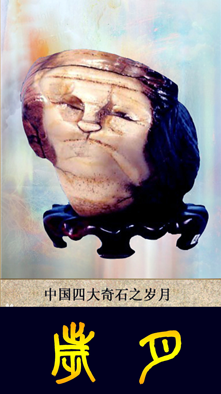 赏石日墨《岁月》中国四大奇石之一领衔