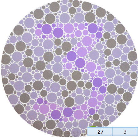 车管所考驾照的色盲色弱测试图