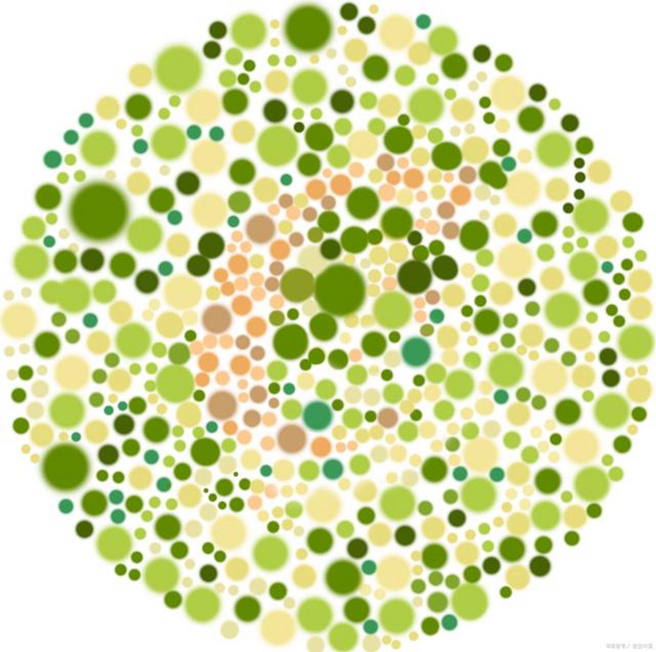 考驾照色盲色弱测试图全攻略 亲爱的学员们,注意啦!