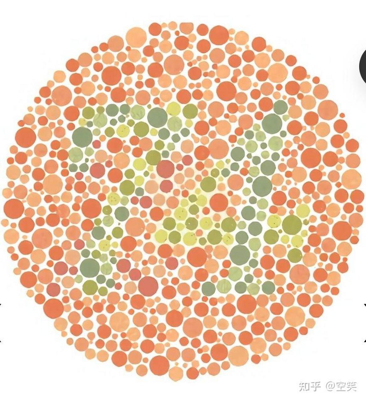 你是否曾在色彩的世界中感到迷茫,对那张色盲色弱测试图感到困惑,无法