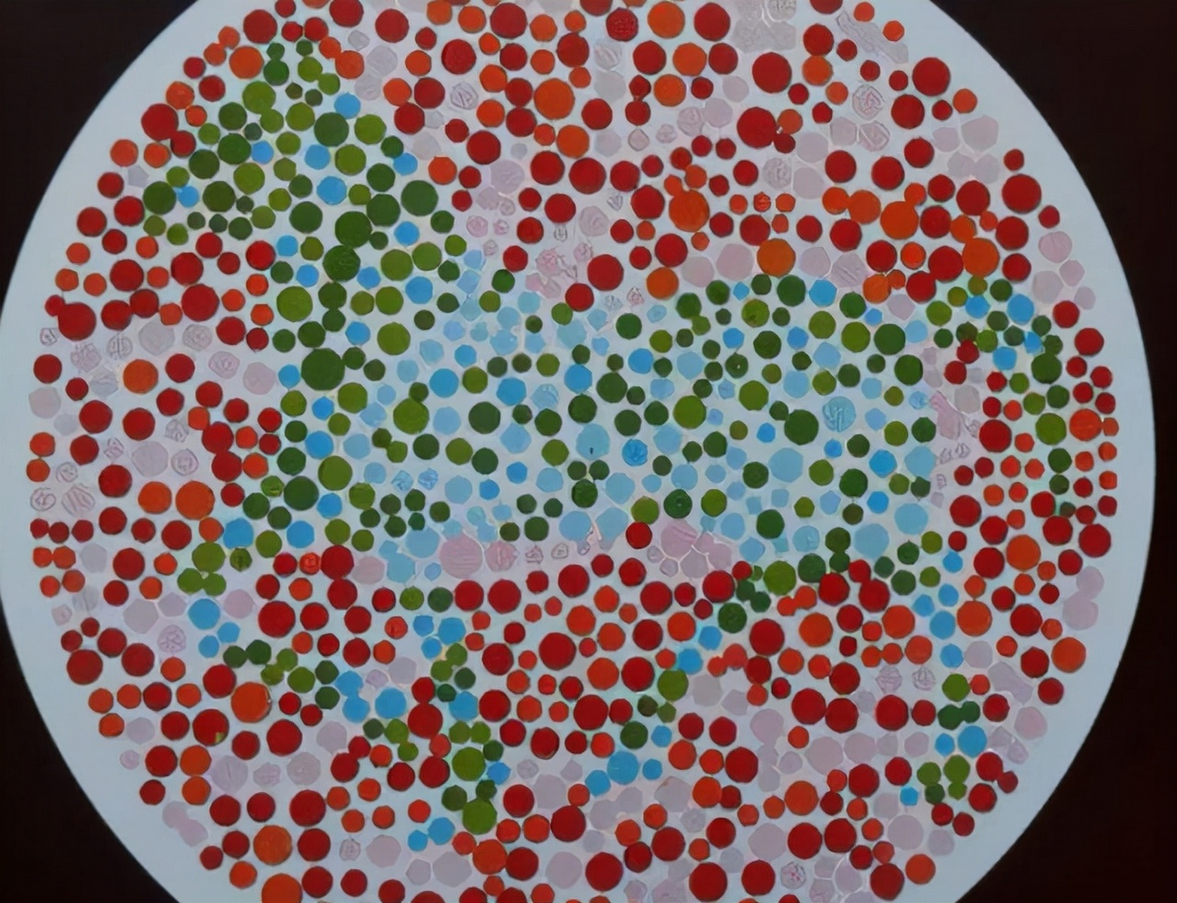 😊色盲色弱测试,你能看清图中的几个动物!