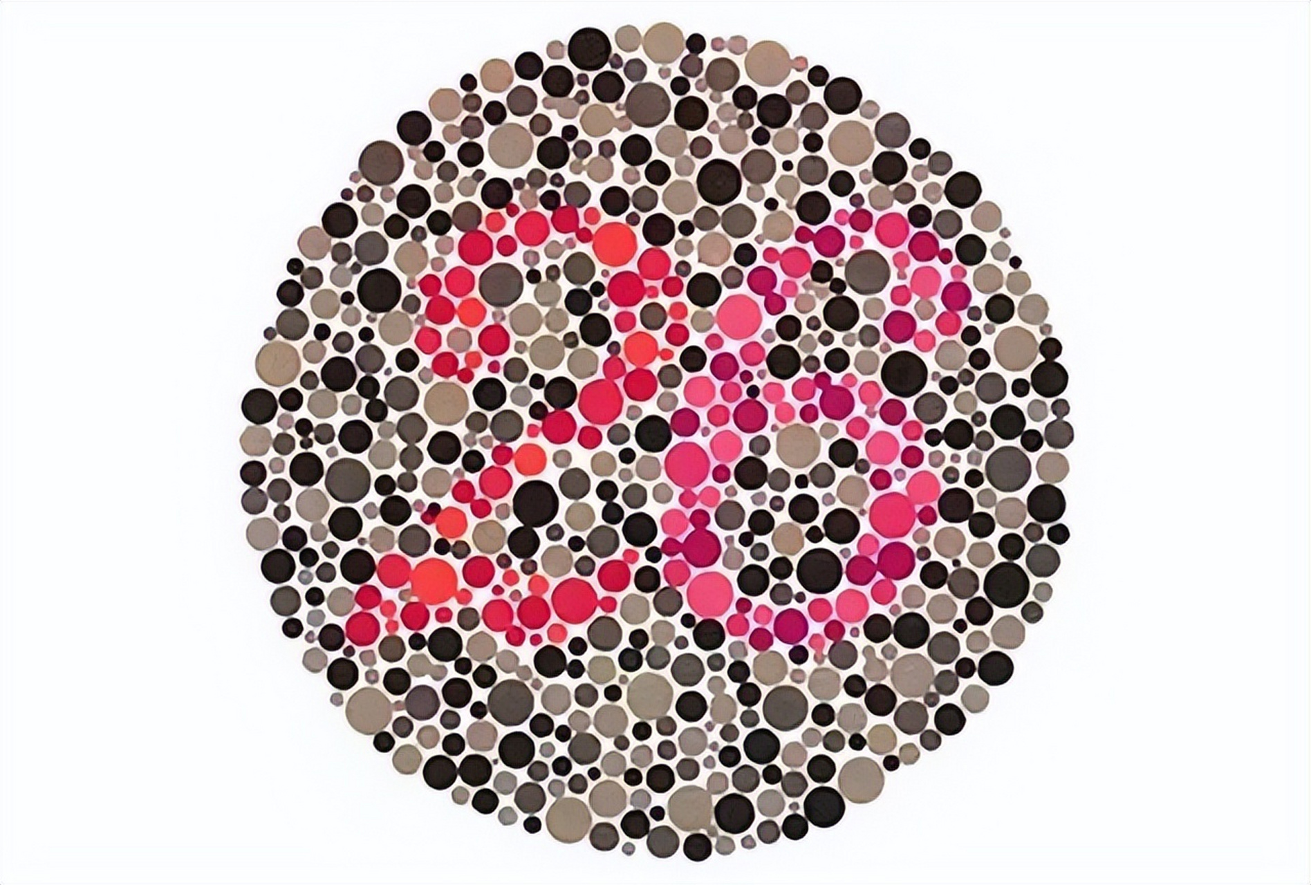 色弱# #色盲# #考驾照# #学车考驾照# #学车# #眼力测试