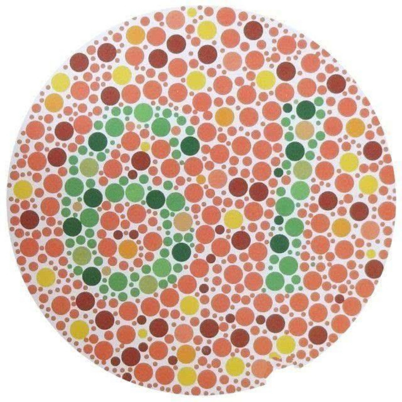 你是否曾在色彩的世界中感到迷茫,对那张色盲色弱测试图感到困惑,无法