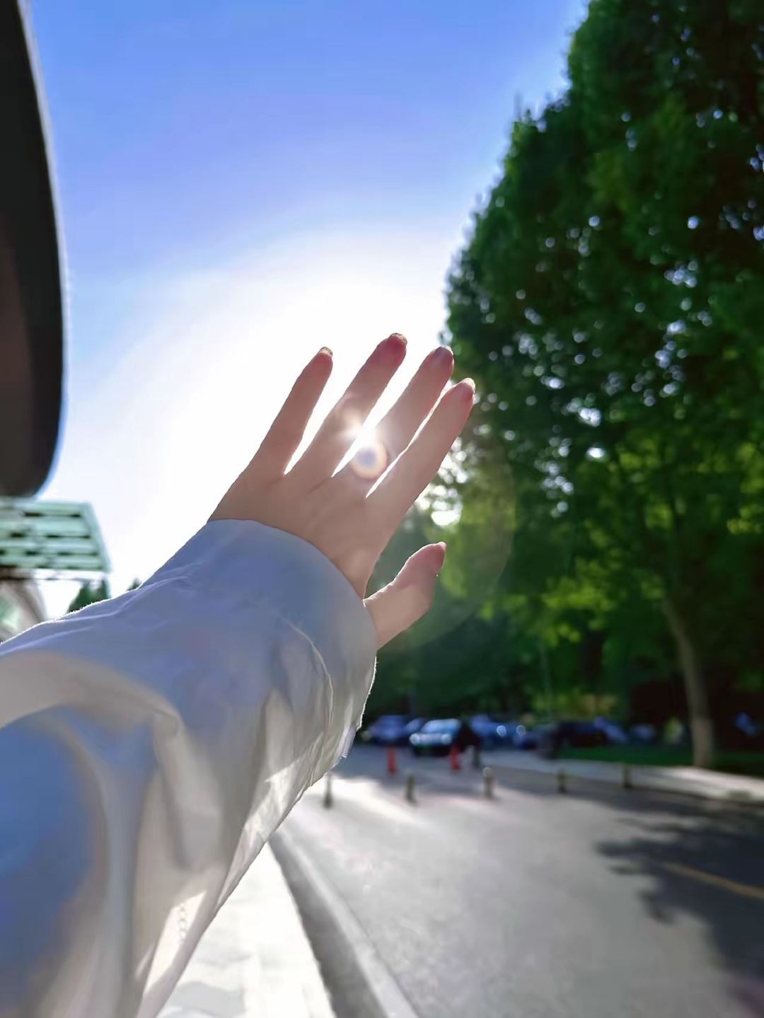 阳光正好,微风不燥,伸出手指,感受这美好的一天.