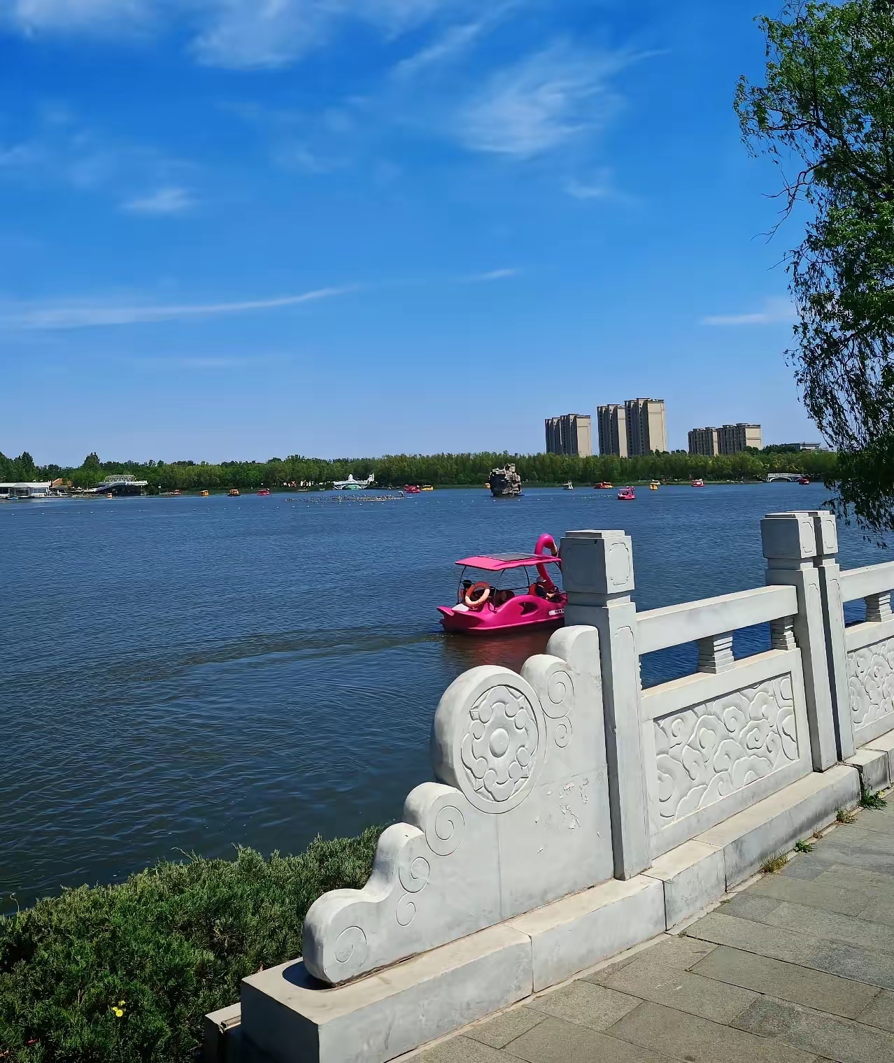 建议都去生个孩子 生完你就明白了 假如你月薪三万