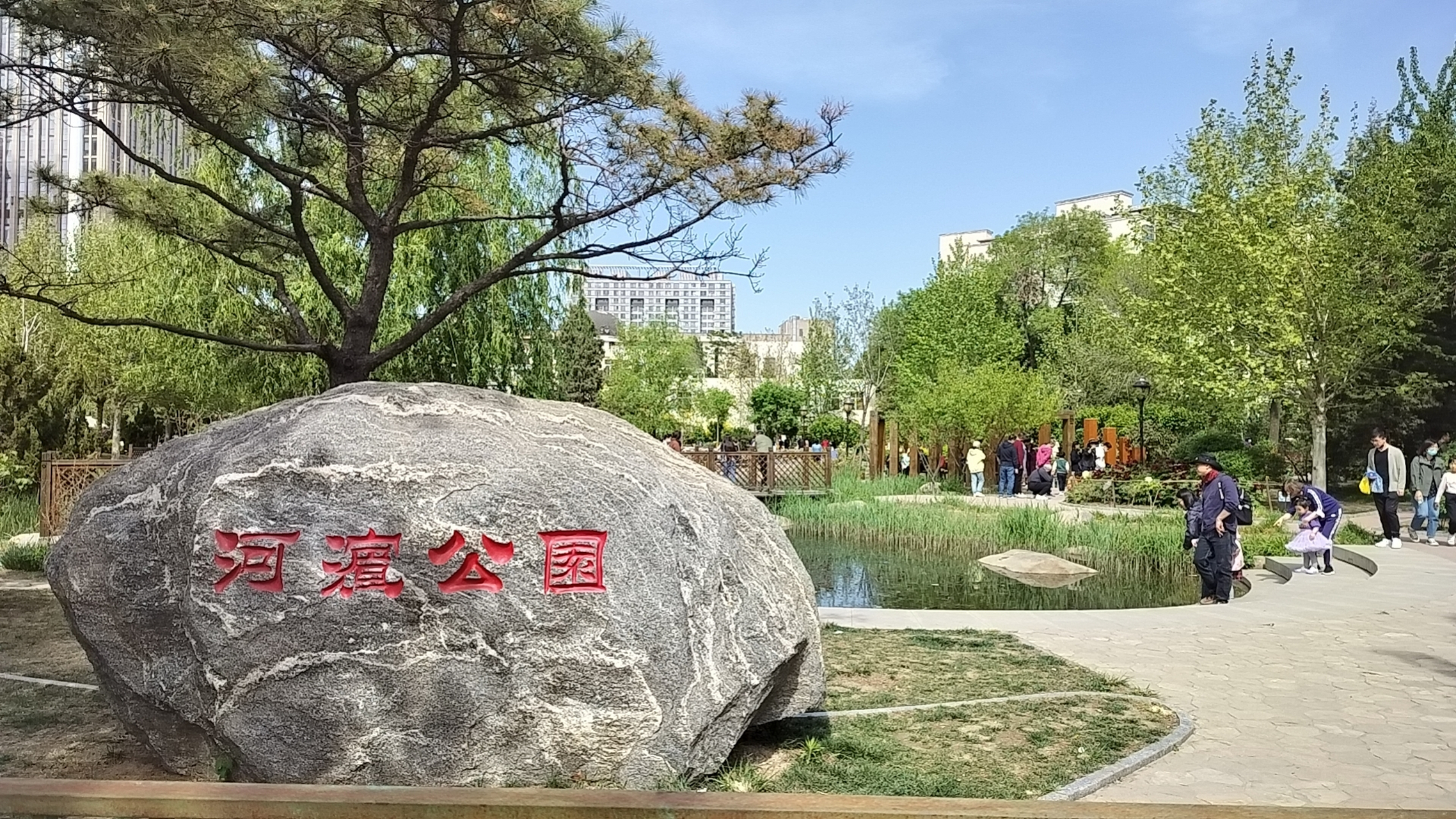 天津河东区河滨公园 以中国牡丹为主题的公园.