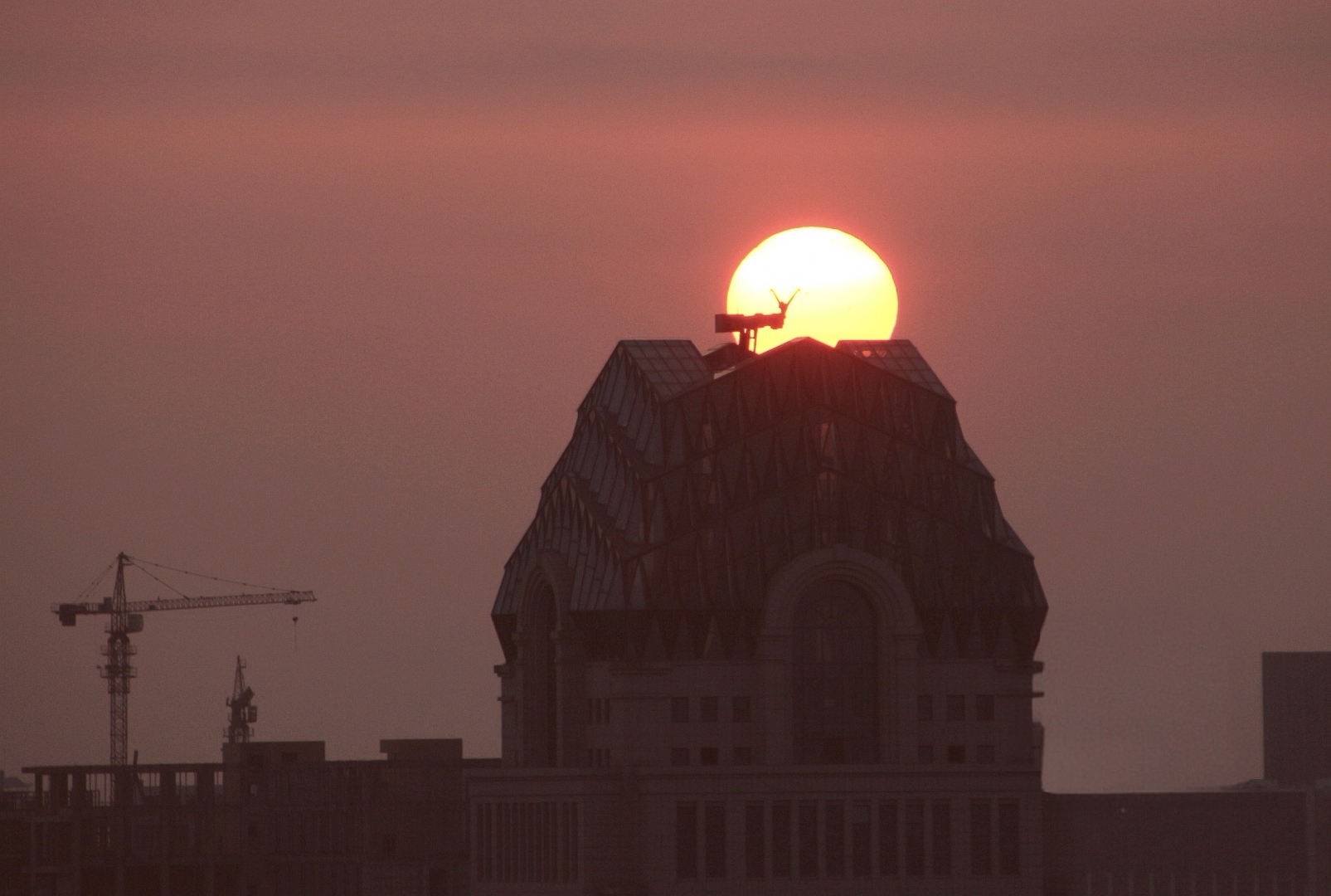 夕阳落在城市的建筑上,剪影中的小鹿走进太阳,美得像幅画!