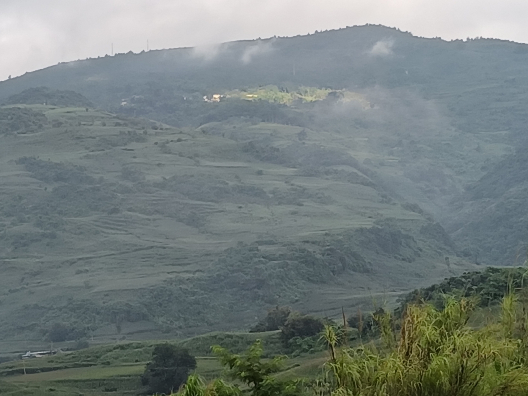 耿马县勐永镇香竹林
