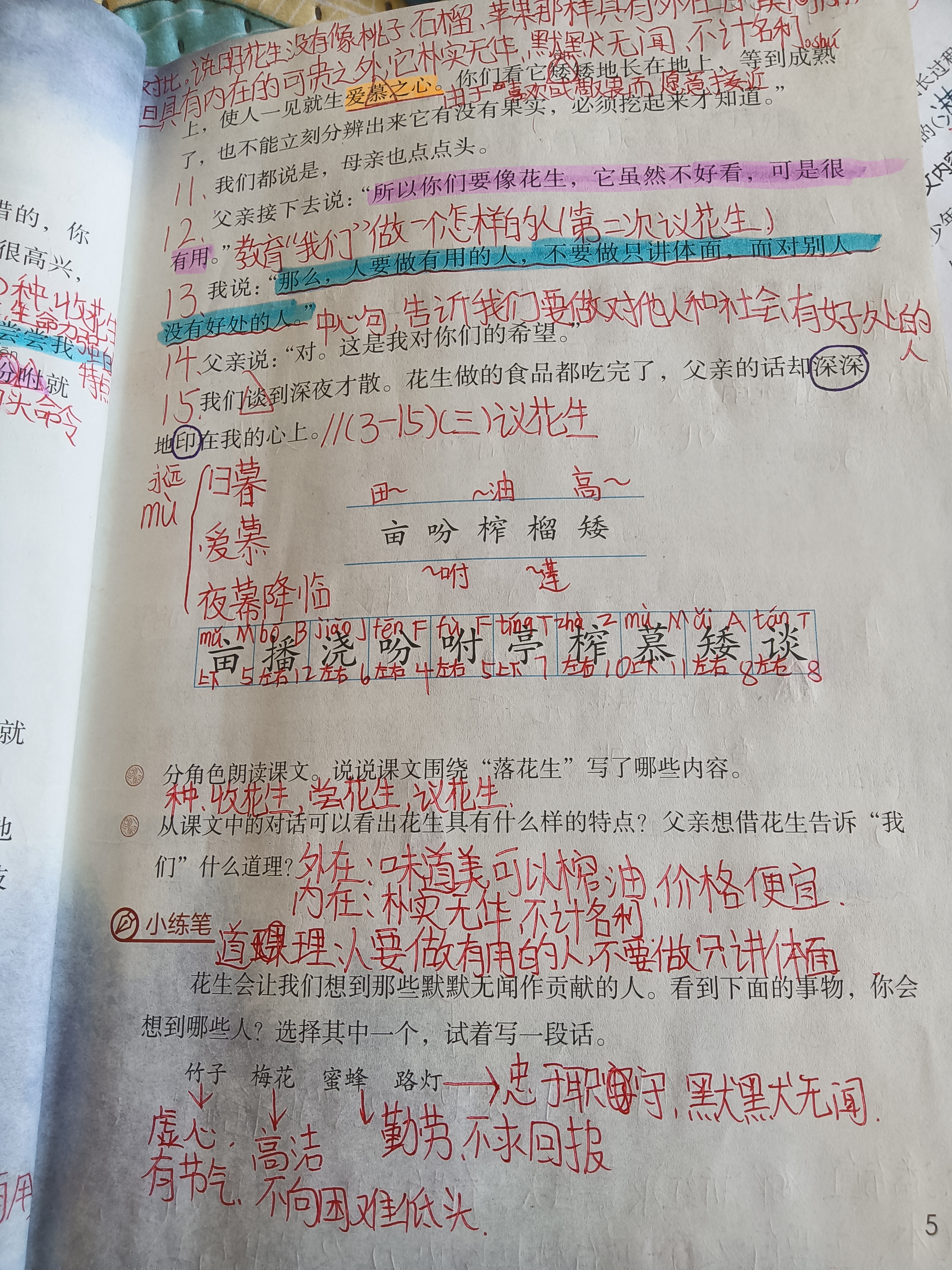 落花生手写笔记图片