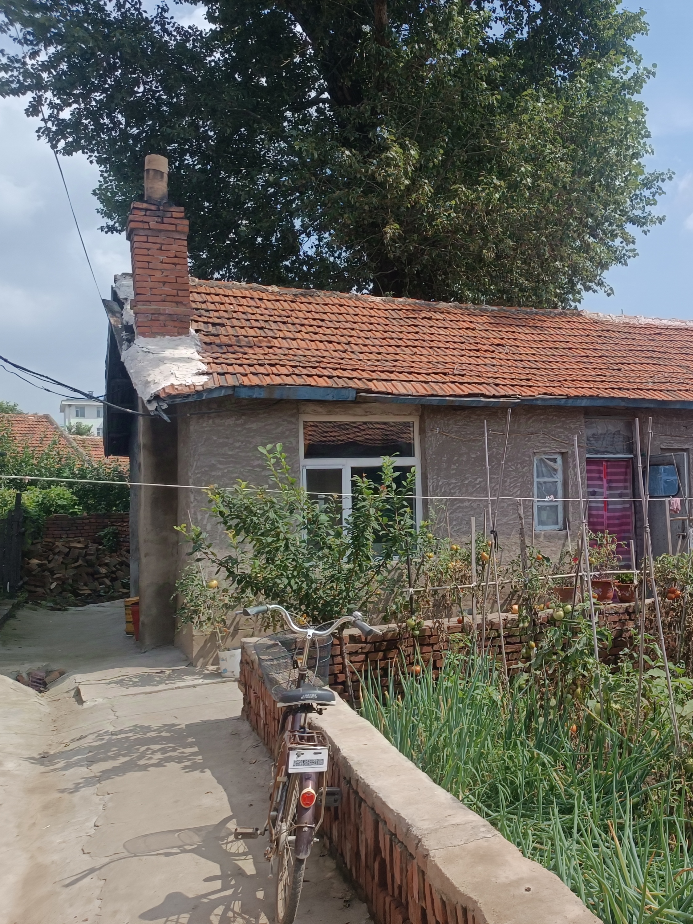 慢品人间烟火色, 闲观万事岁月长