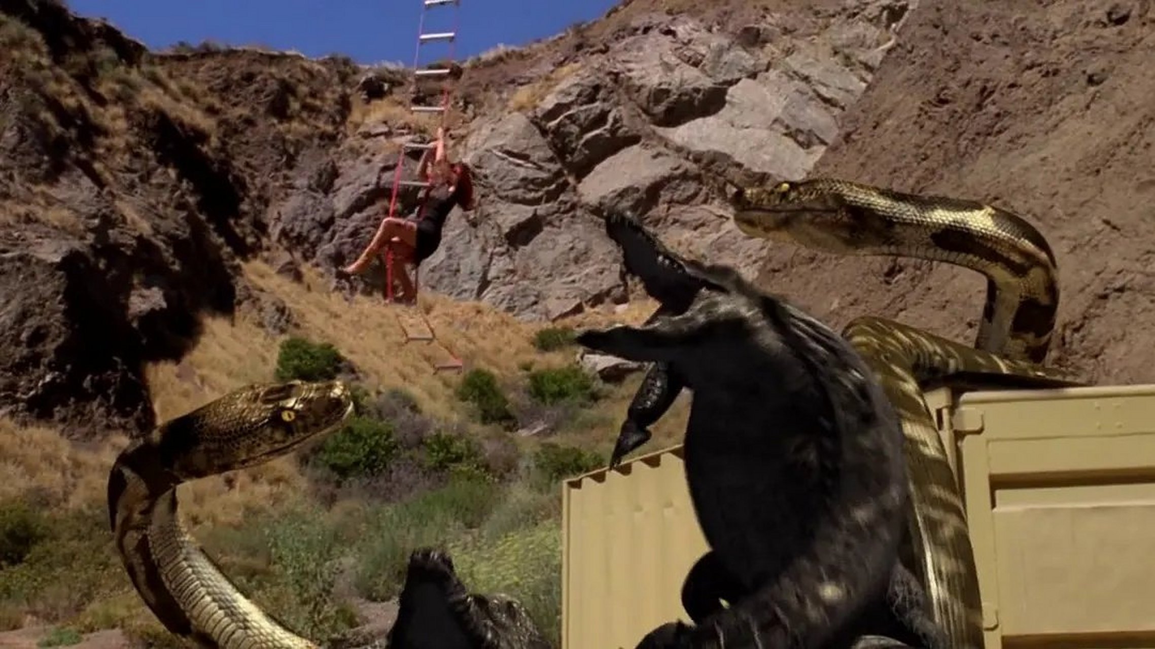 《巨蟒大战巨鳄》描述一个动物保护主义者(debbie gibson)偷偷将宠物