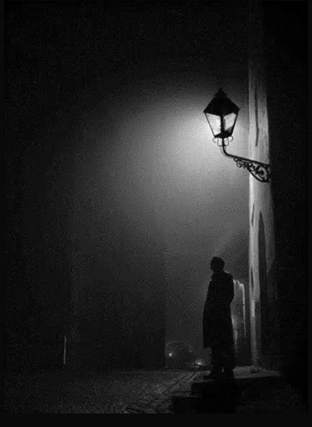 前程未卜待明朝, 唯有孤鸿伴