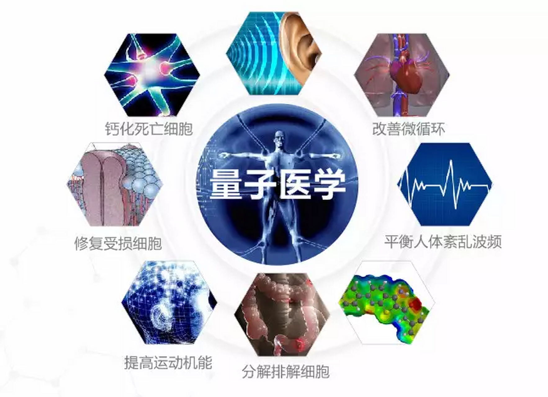 量子细胞共振仪的好处 量子医学介绍 the introduction of quantum