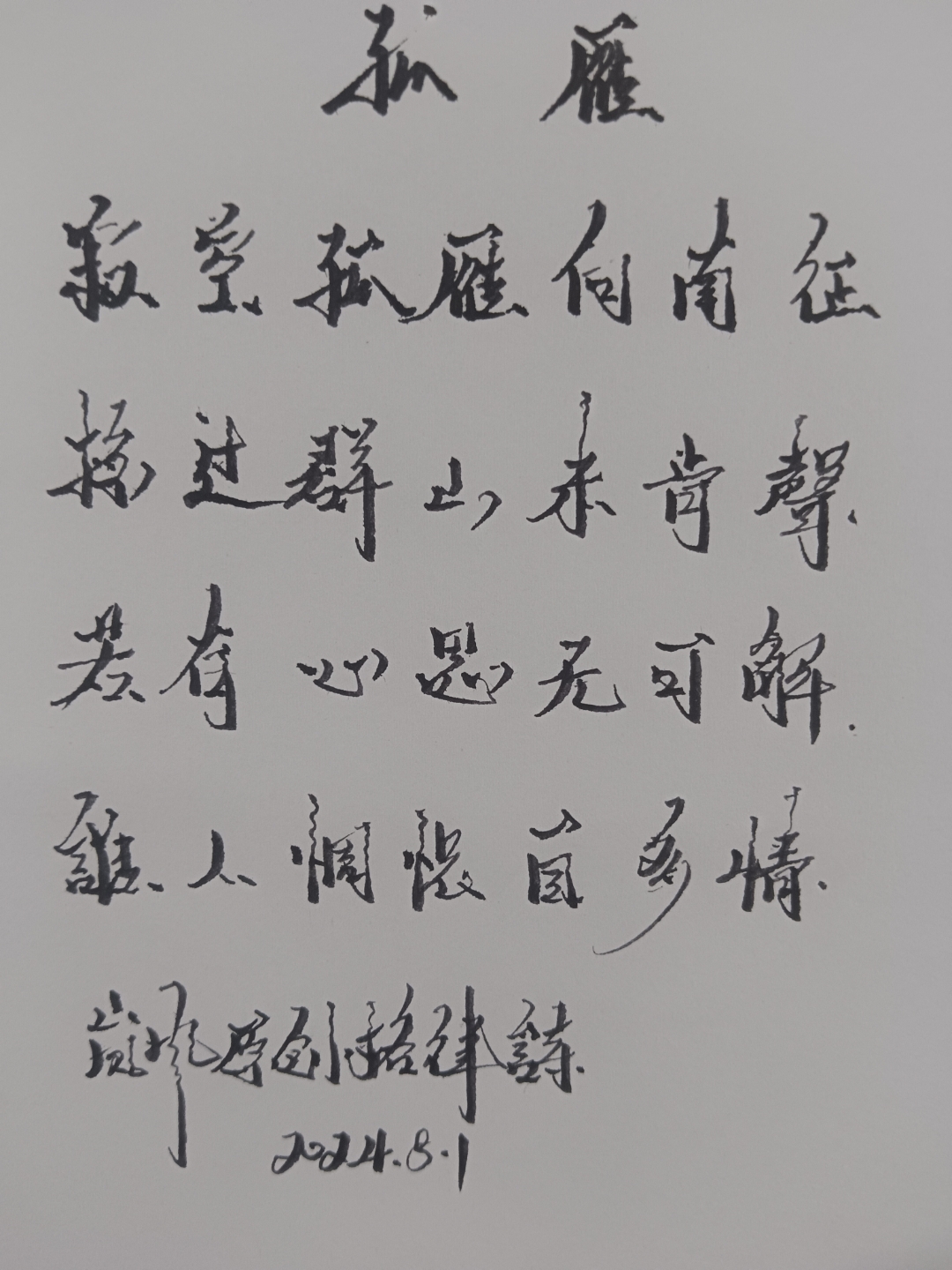 岚风原创格律诗《孤雁》