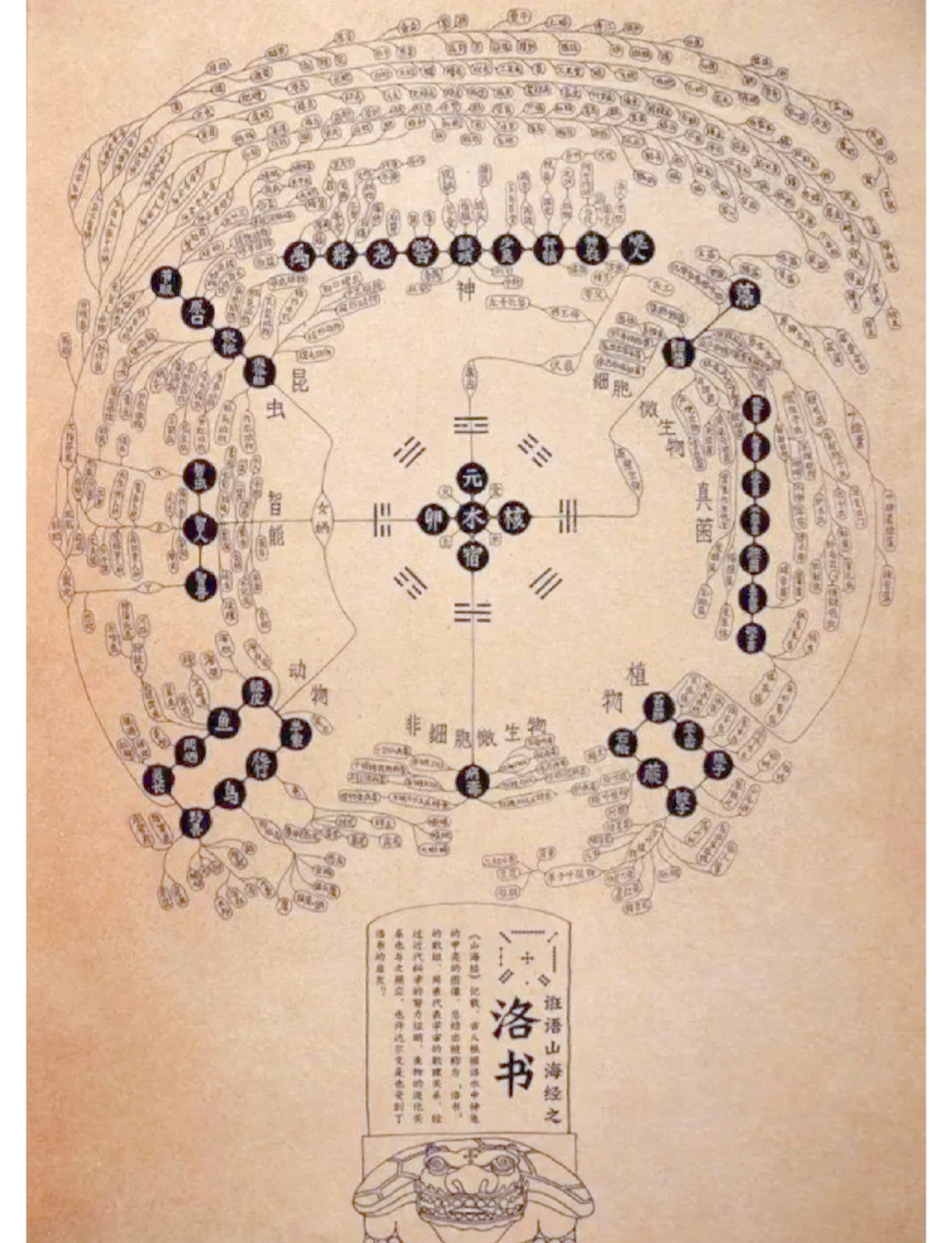 好的,这是根据您的要求,融合了优化后的闫氏中医世