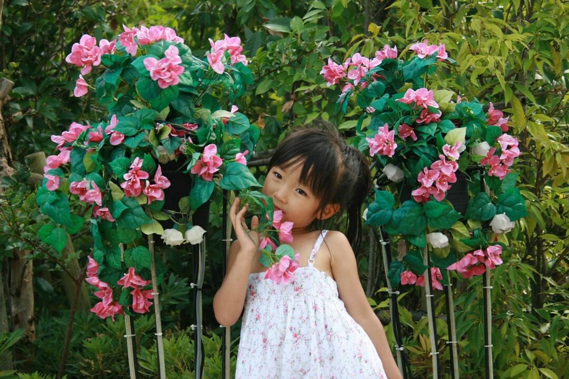 小时候的樱花so可爱 #小川樱花# #日本组合girls2