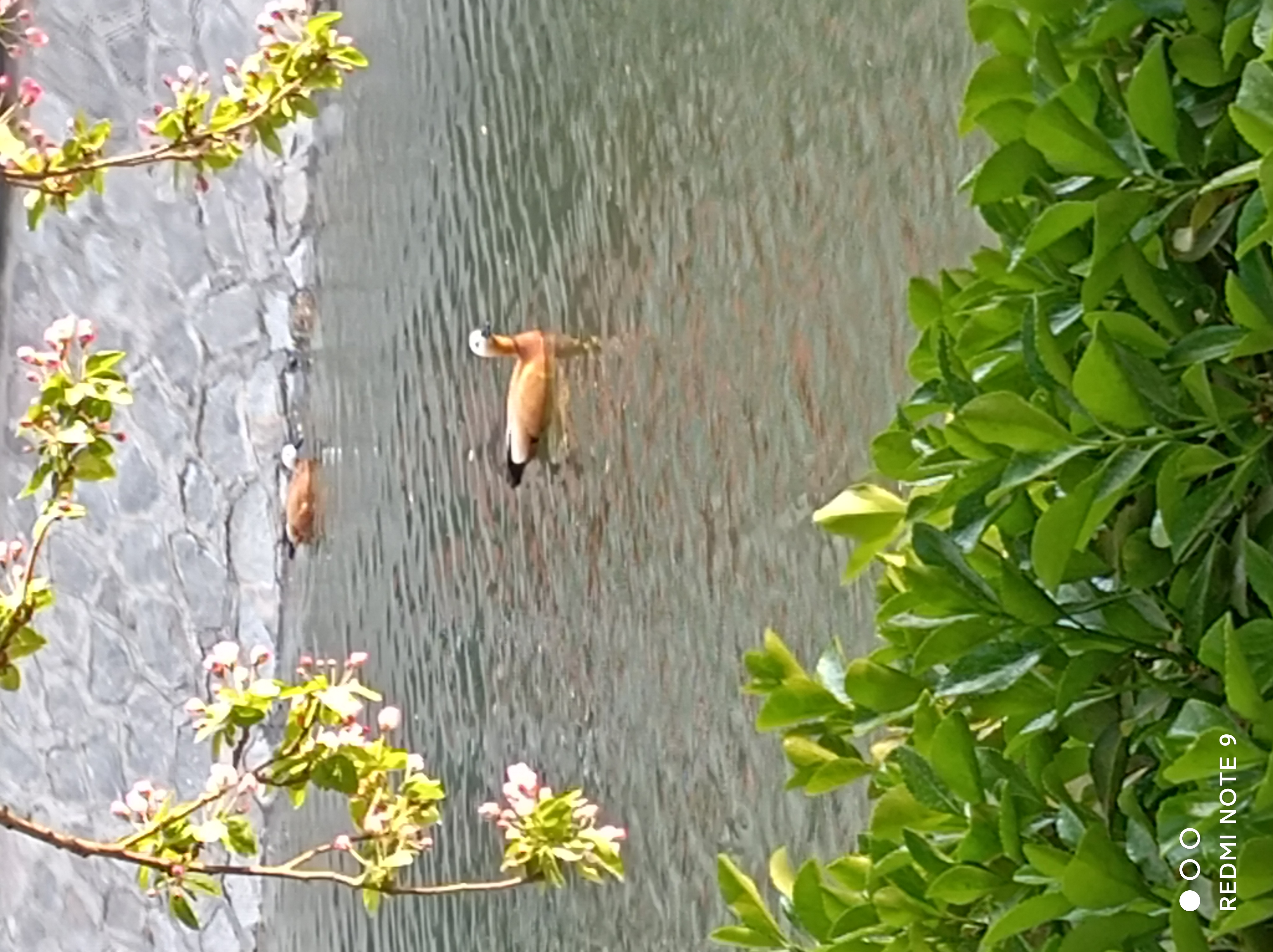 泥融飞燕子,沙暖睡鸳鸯.