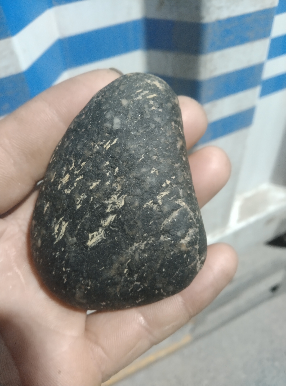 一颗疑似球粒石陨石,通体黑色的融壳中布满了融融的白色球粒非常的