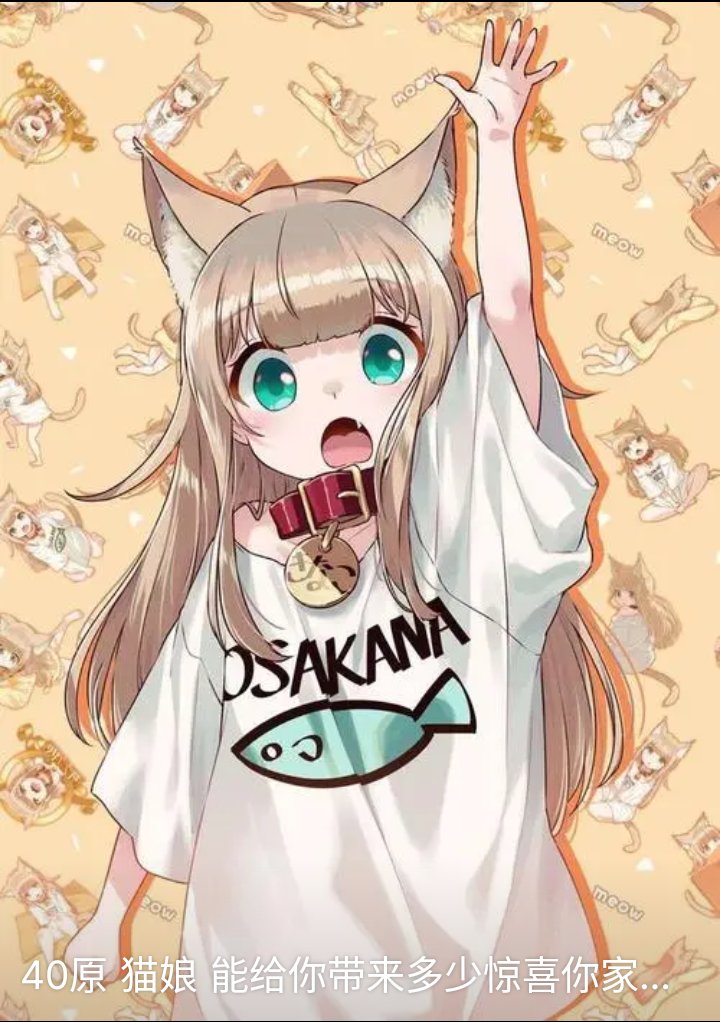 可爱的黄豆粉猫酿