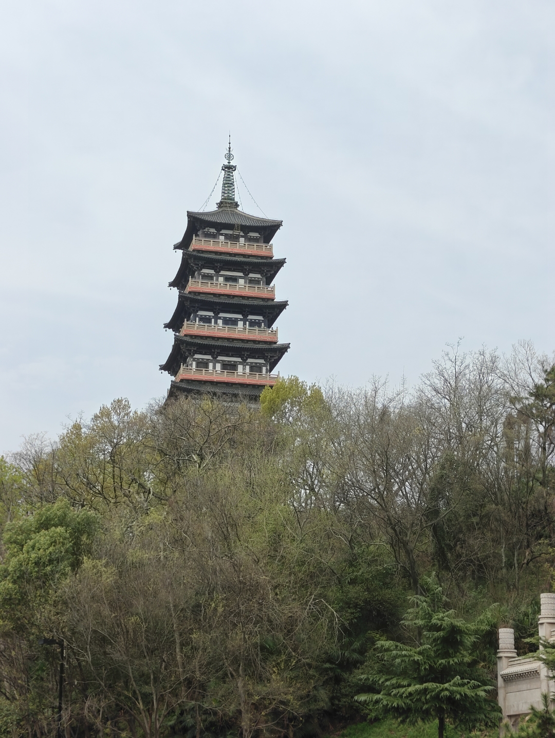 扬州大明寺樱花图片