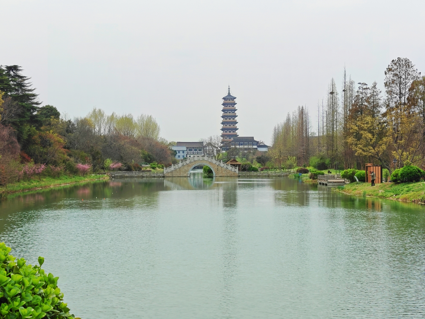 扬州大明寺樱花图片