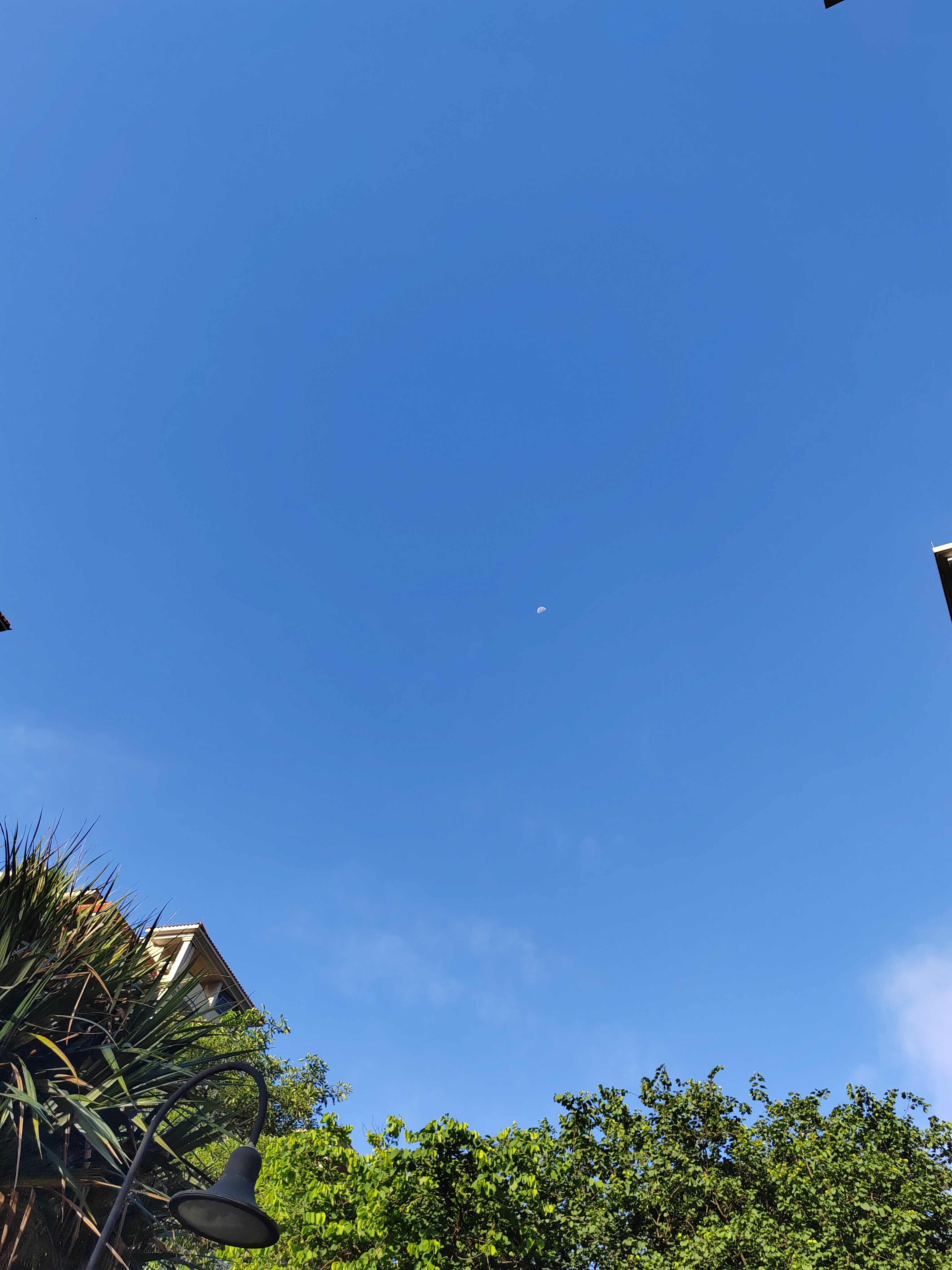 今天早上的:日月同辉[鼓掌]