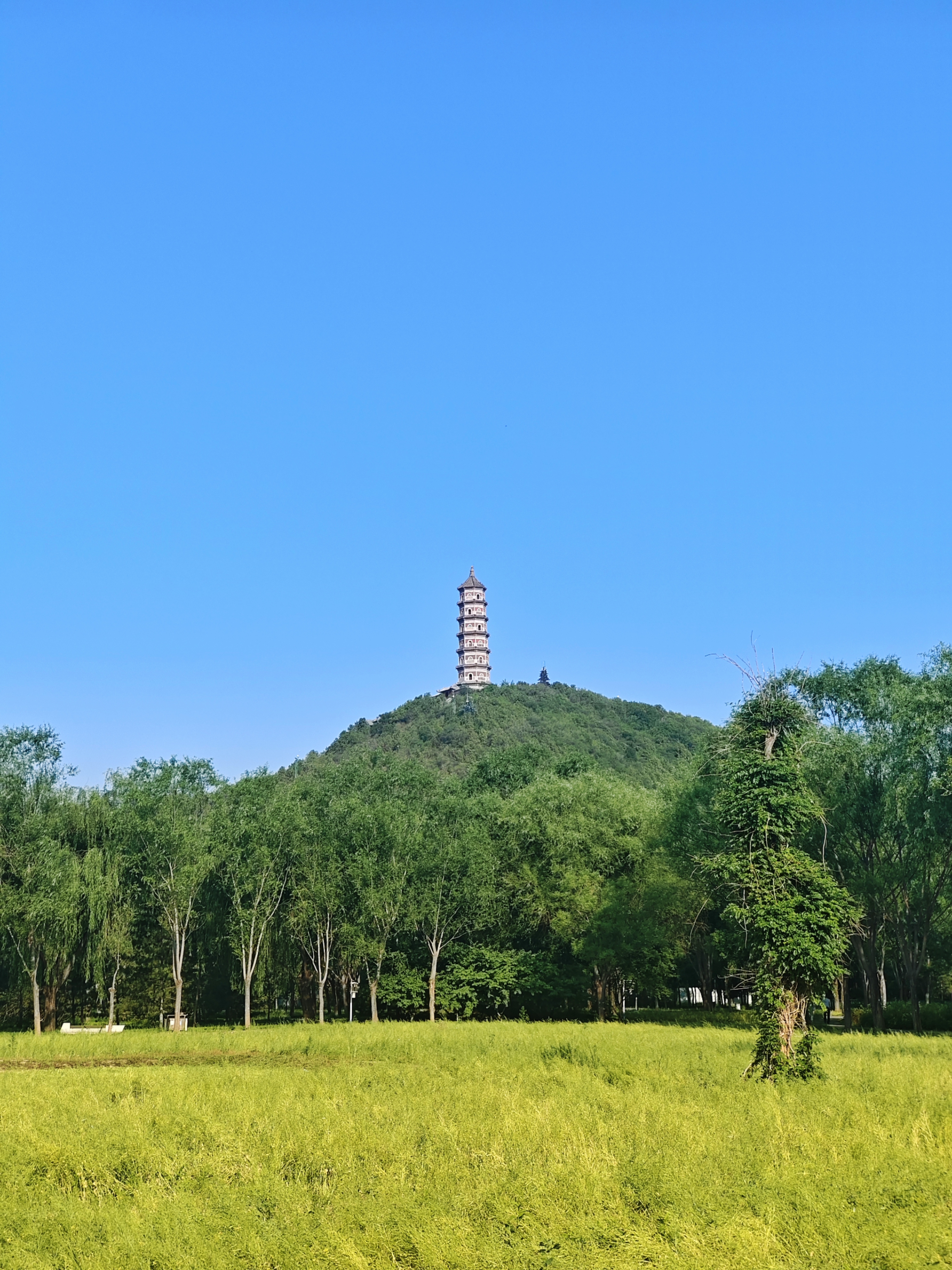 清晨的阳光洒满大地,我在两山公园等你. 人少景美,关键还免费.