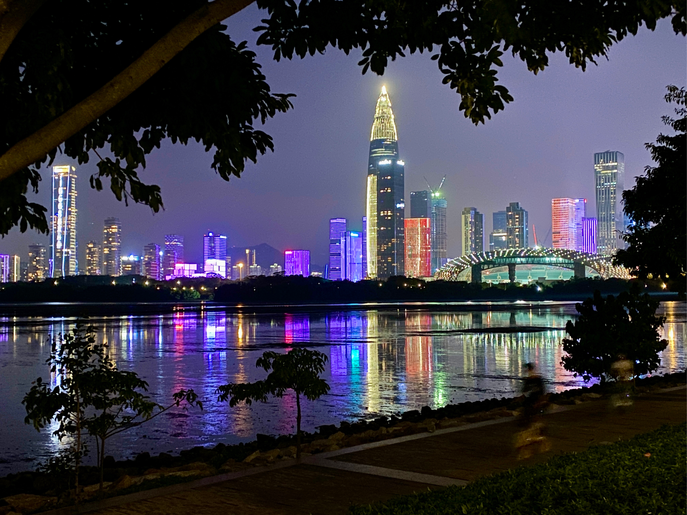 #旅行#摄影#分享 夜色深圳湾公园风景依然美丽迷人,宁静的海面宁