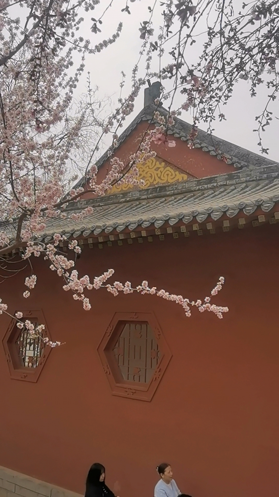 天津桃花堤