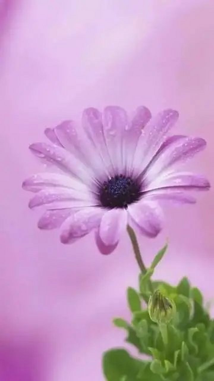 try not to become a man of success but rather try to become a