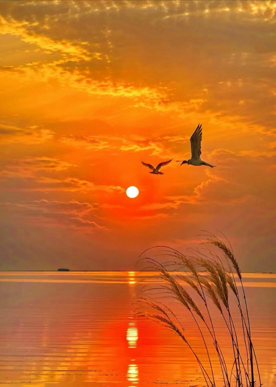 帘卷西风落日圆,鸿雁南飞桂飘香,千里烟波孤帆尽,长夜漫漫难入眠.