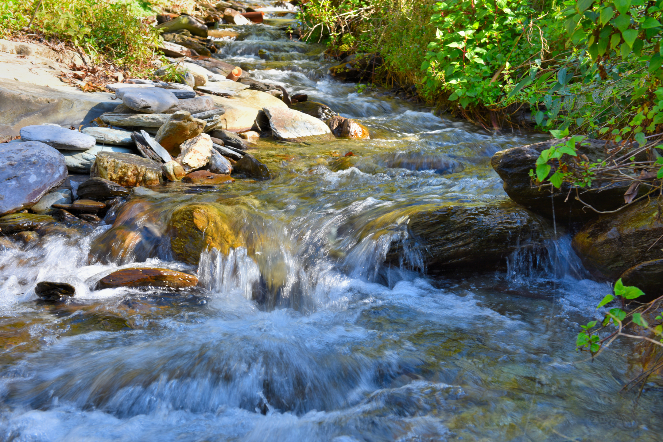 摄影# #和大自然的亲密接触# #美好假期在旅途# 小河水清清,乡愁荡