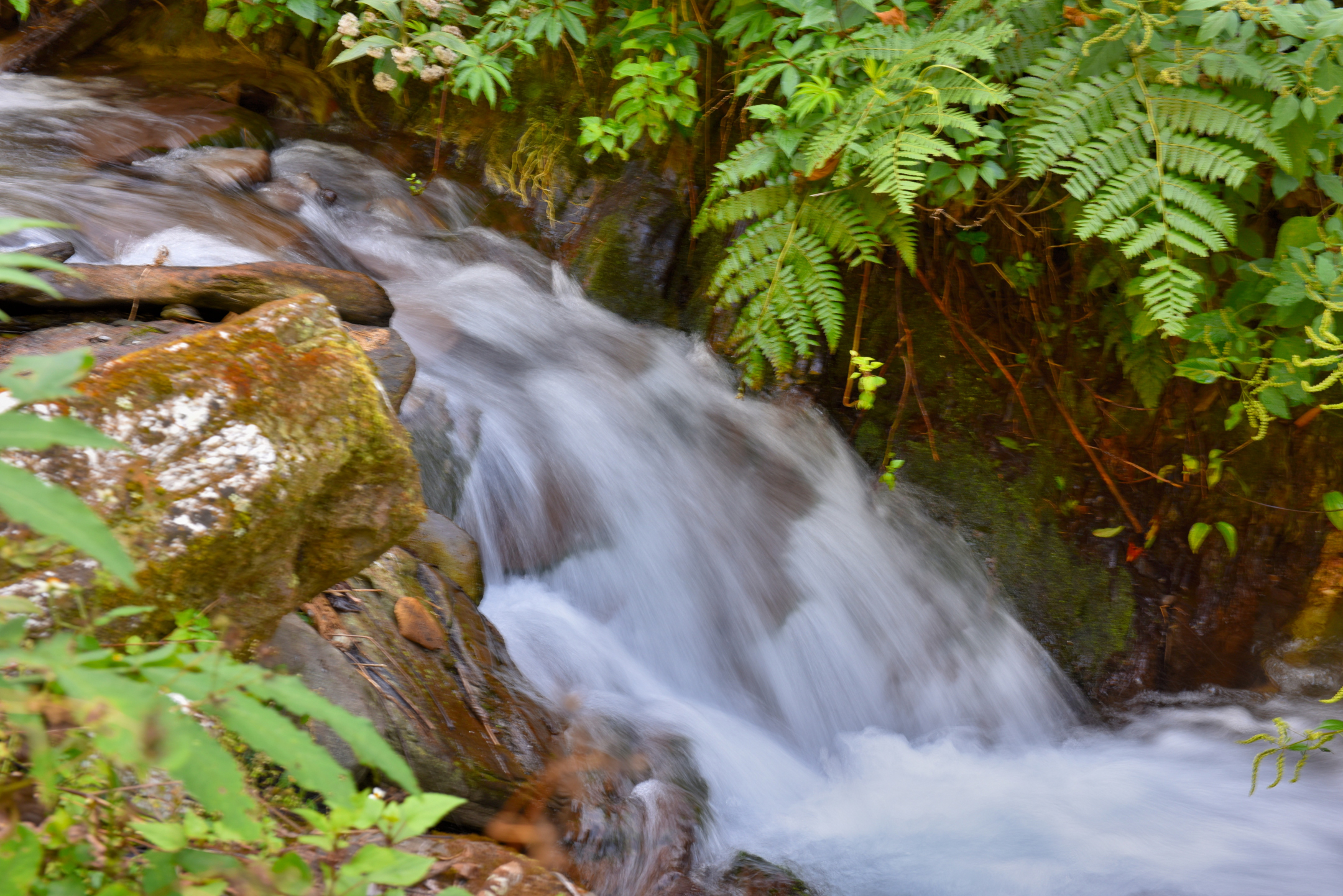 摄影# #和大自然的亲密接触# #美好假期在旅途# 小河水清清,乡愁荡