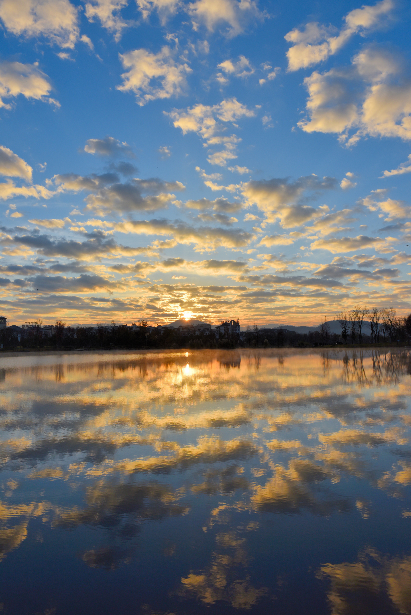 摄影# #记录我的城市吧# 日出时的湖面,简直美得像一幅画.