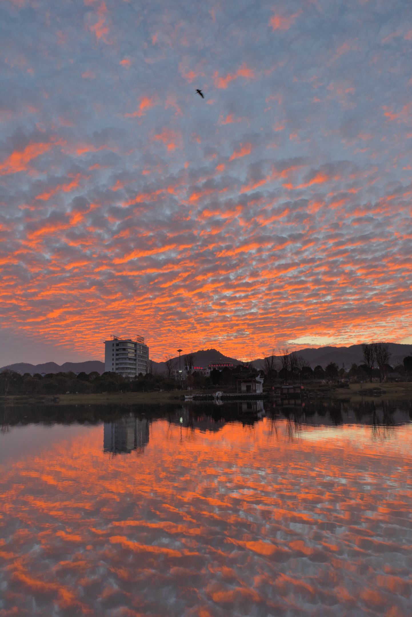 摄影# #记录我的城市吧# #和大自然的亲密接触# 绝美晚霞湖景,云朵与 