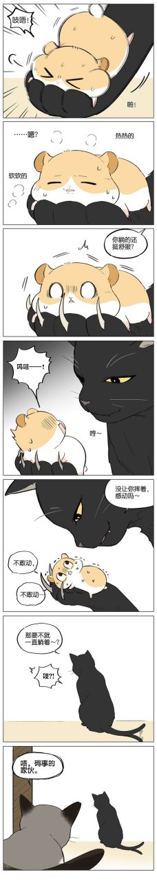 漫画# 猫和仓鼠作者:吉川流[滑稽]