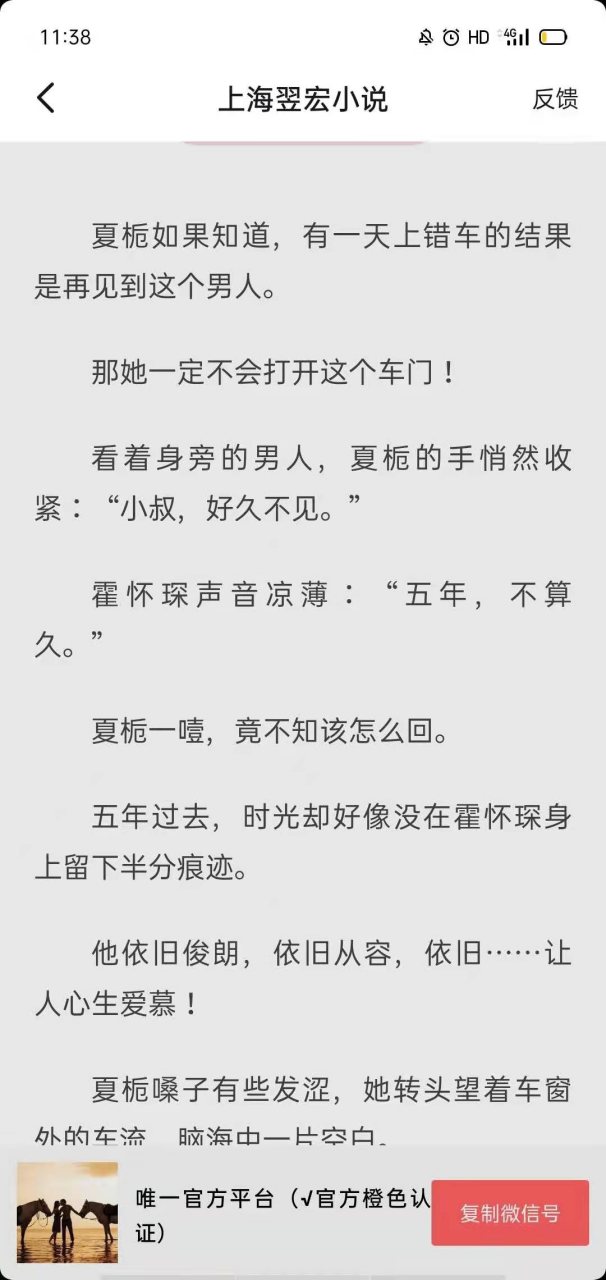 抖音完结《夏栀霍怀琛林知妍小叔》好久不见小说全本完结阅读【大结局