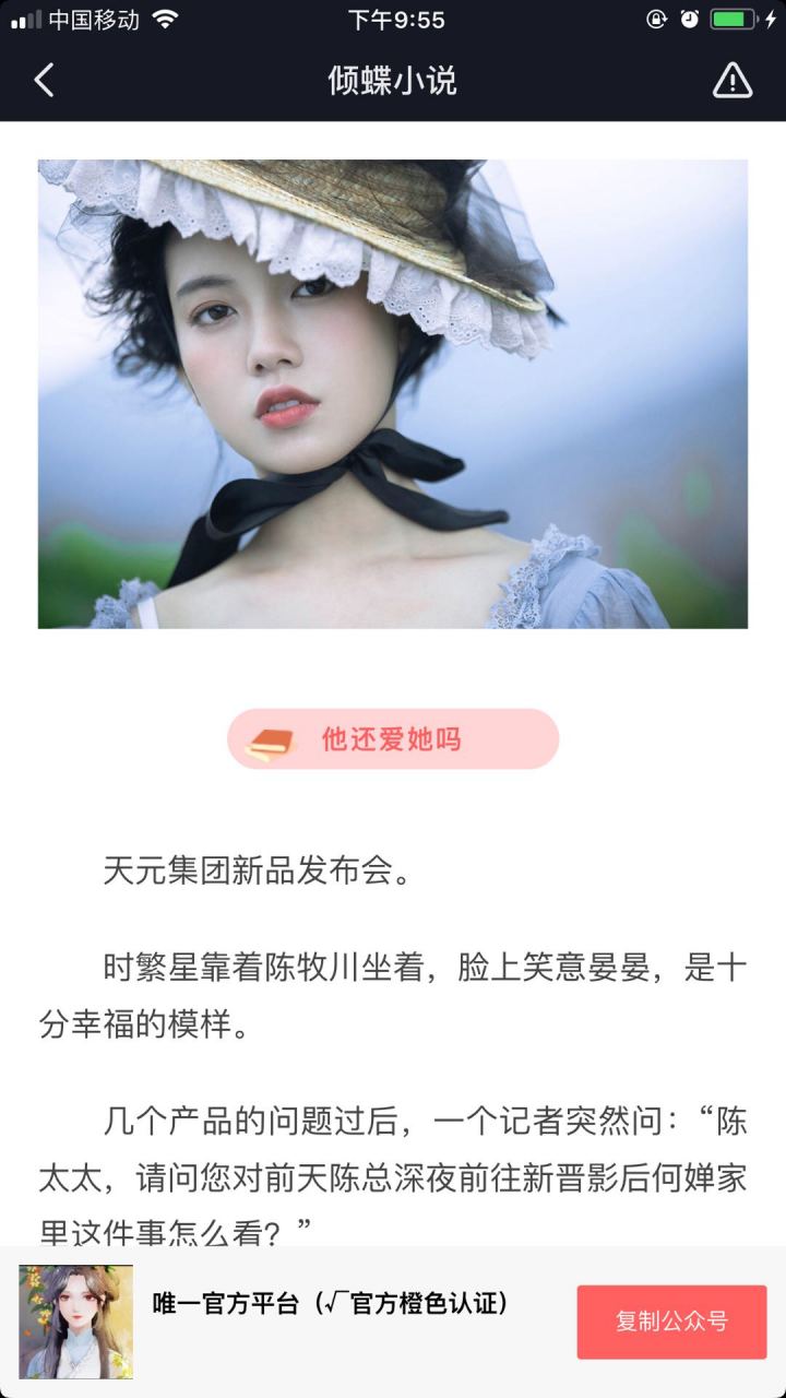 时繁星陈牧川《时繁星陈牧川何婵》小说书名〔天元