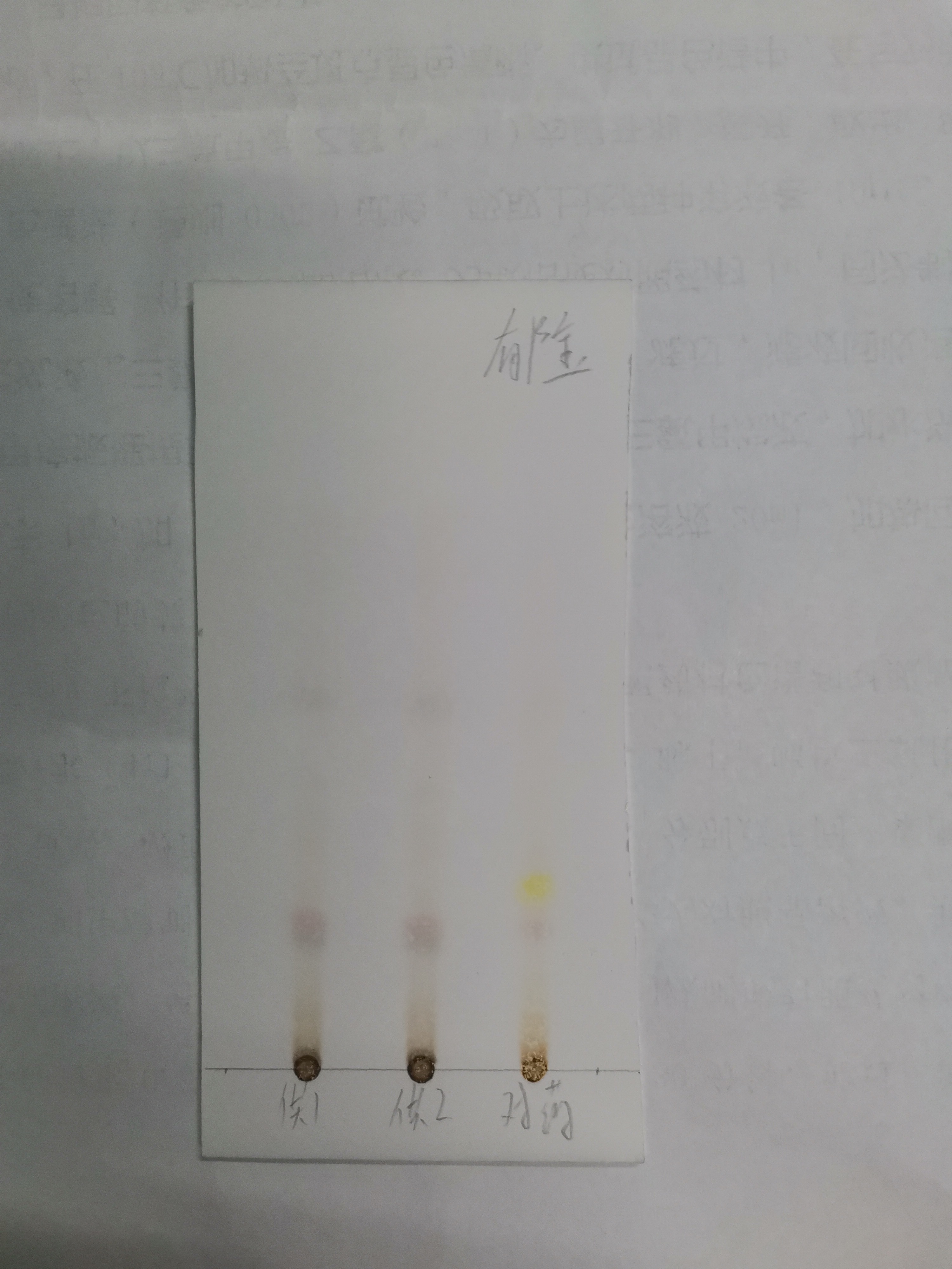 薄层层析结果图图片