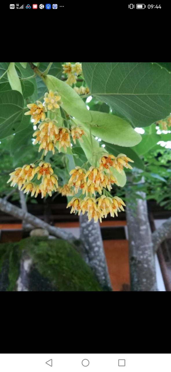 读了一遍达摩大师的《血脉论》,掩卷感叹:千经万论皆阐实相,虽千指共