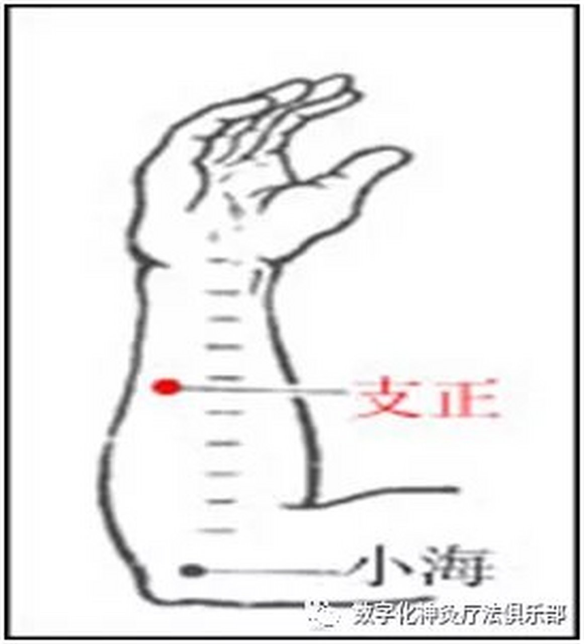 支正穴 手太阳小肠经穴 取穴:在前臂背面尺侧,腕背横纹上5寸.